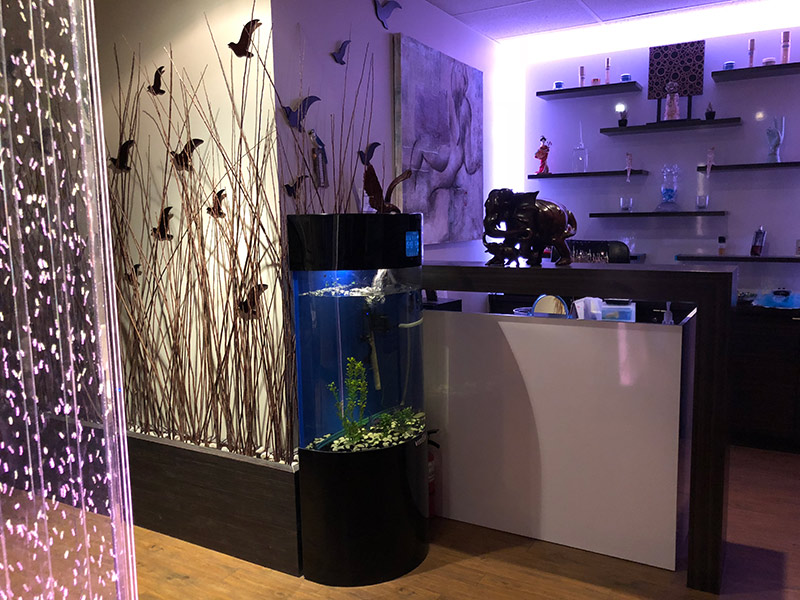 Reception area at Lotus Wellness in Richmond Hill